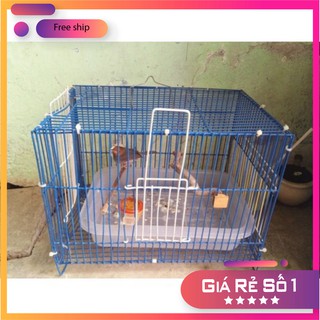 Lồng tắm cho chim đủ size + thau tắm.