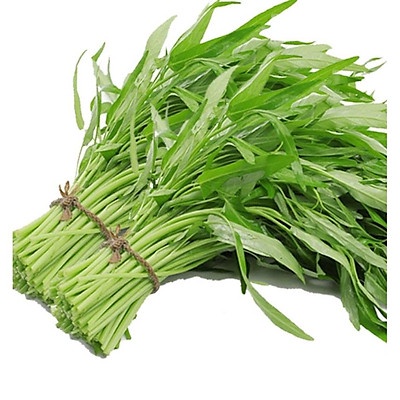 50G HẠT GIỐNG RAU MUỐNG LÁ TRE PHÚ NÔNG
