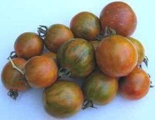 Hạt giống cà chua zera socola