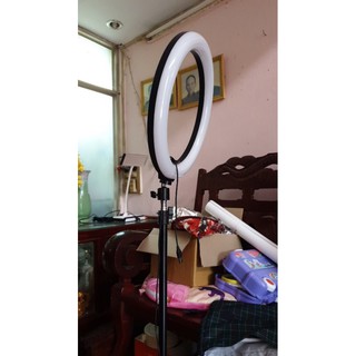 đèn live size 36 cm kèm chân đế 2m1