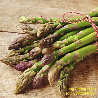 Hạt giống măng tây xanh