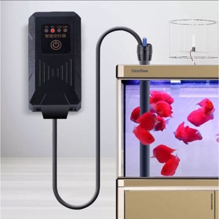 Ổ cắm hẹn giờ - timer hẹn giờ thiết bị bể cá
