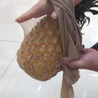 Quần tất quả dứa