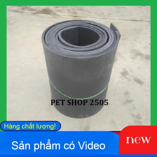 SỚI VẦN GÀ CHỌI-SỚI ĐÚC NGUYÊN BẢN-TẶNG CÓNG CAO SU