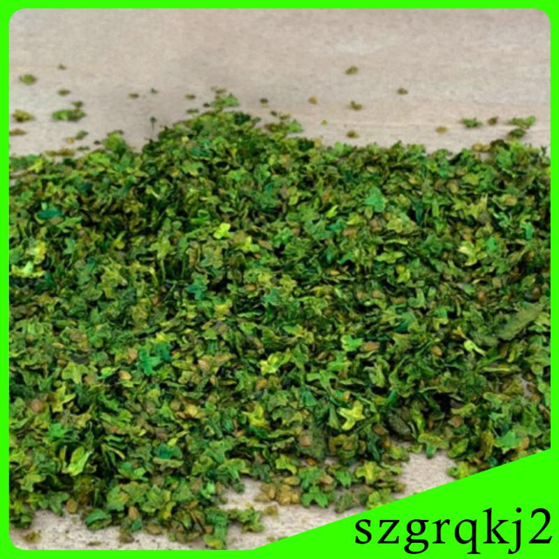 Mô Hình Lá Tĩnh 33ml Trang Trí Bàn Cát Làm Việc