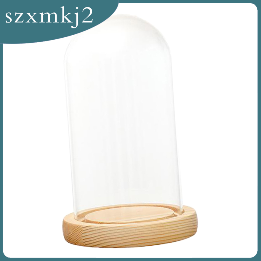 Cutest Mini Clear Glass Hemisphere Cloche Cover Dome Cabochon With Cork 10x25cm