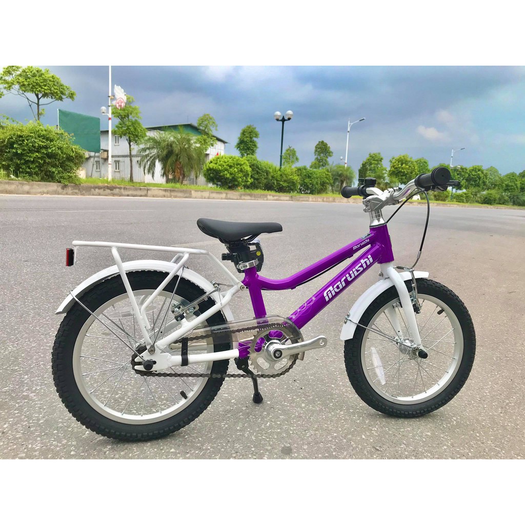 Xe đạp trẻ em Nhật Future 16 inch