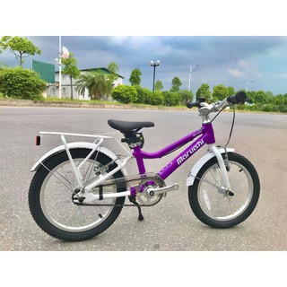 Xe đạp trẻ em Nhật Future 16 inch