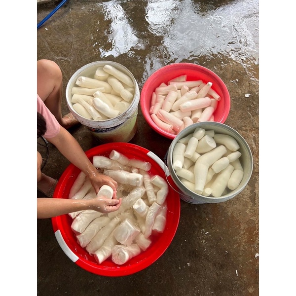Củ sắn - khoai mì bở tơi, thơm ngon 1kg trồng trên nương điện biên