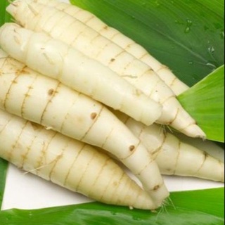 Bột bình tinh 1kg