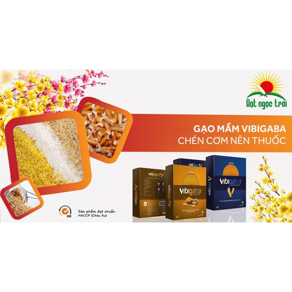 Gạo Mầm Vibigaba 1kg - Bán lẻ giá sỉ