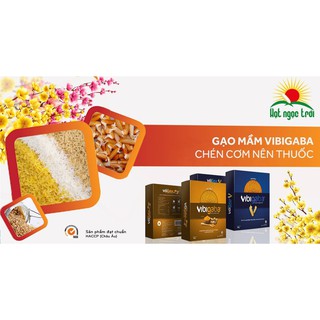 Gạo mầm Vibigaba hộp 1kg