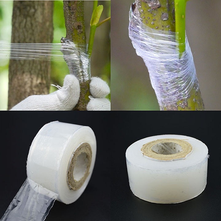 Băng keo ghép cành cây tự hủy