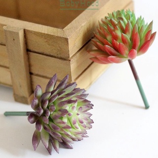 Chậu cây sen đá giả mini trang trí văn phòng
