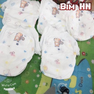 [Bỉm HN] Combo 100 bỉm quần Eboly M,L,Xl,XXL [Chính Hãng]