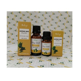 TINH DẦU HƯƠNG NHU TRẮNG-100% THIÊN NHIÊN NGUYÊN CHẤT