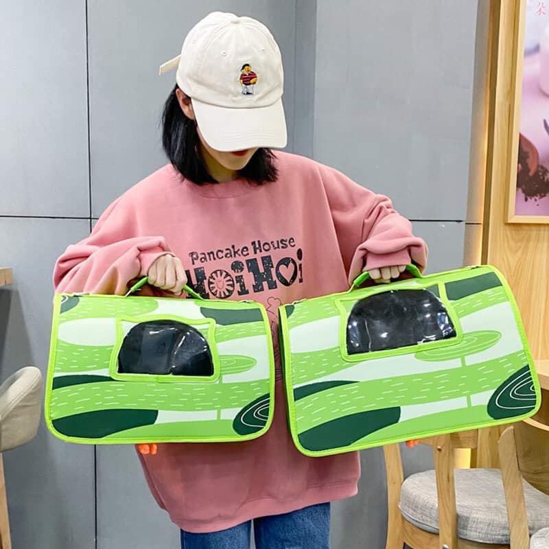 Túi vận chuyển thú cưng họa tiết tươi sáng cao cấp