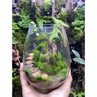 Đá bậc thang set hồ bán cạn, terrarium. túi 15 viên