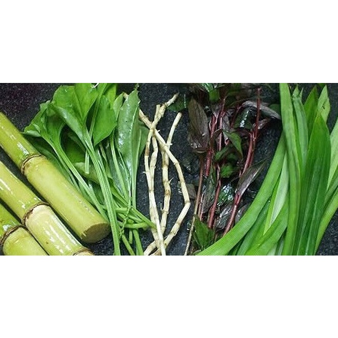 Sâm mía lau thảo mộc tươi hữu cơ 1kg