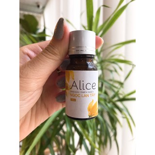 Tinh Dầu Xông Phòng Ngọc Lan Tây Thiên Nhiên Alice 10ml - Tinh dầu ngọc lan tây nguyên chất