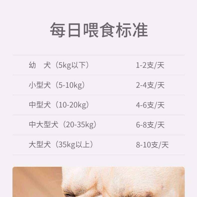 Fair's 40 gốc Ham Xúc xích Pet Food Dog Snack Gold Mao Teddy Dog Xúc xích Dinh dưỡng
