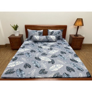 Drap giường lẻ thun Hàn mát lạnh.nệm 5 _ 20cm