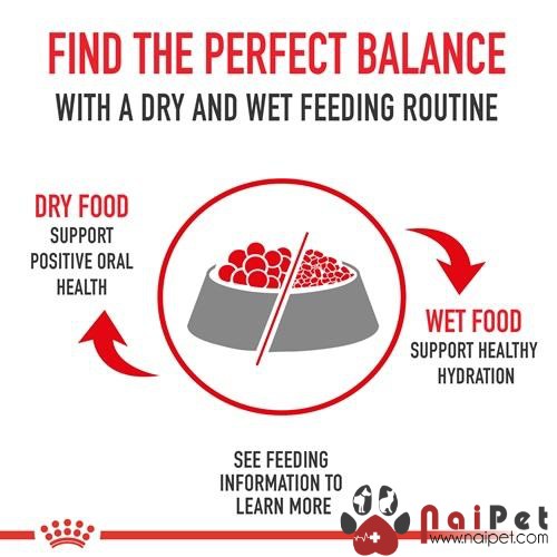 Thức Ăn Hạt Cho Chó Trưởng Thành Cỡ Lớn Maxi Adult Royal Canin 1kg