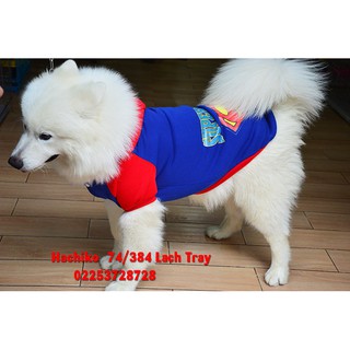 Áo SuperDog dành cho chó lớn