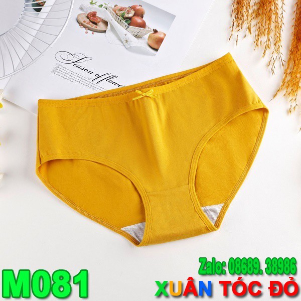 SỈ RẺ HƠN 20-40%_ Quần Lót Cotton Trơn 7 Màu Mới Cực Xịn M081