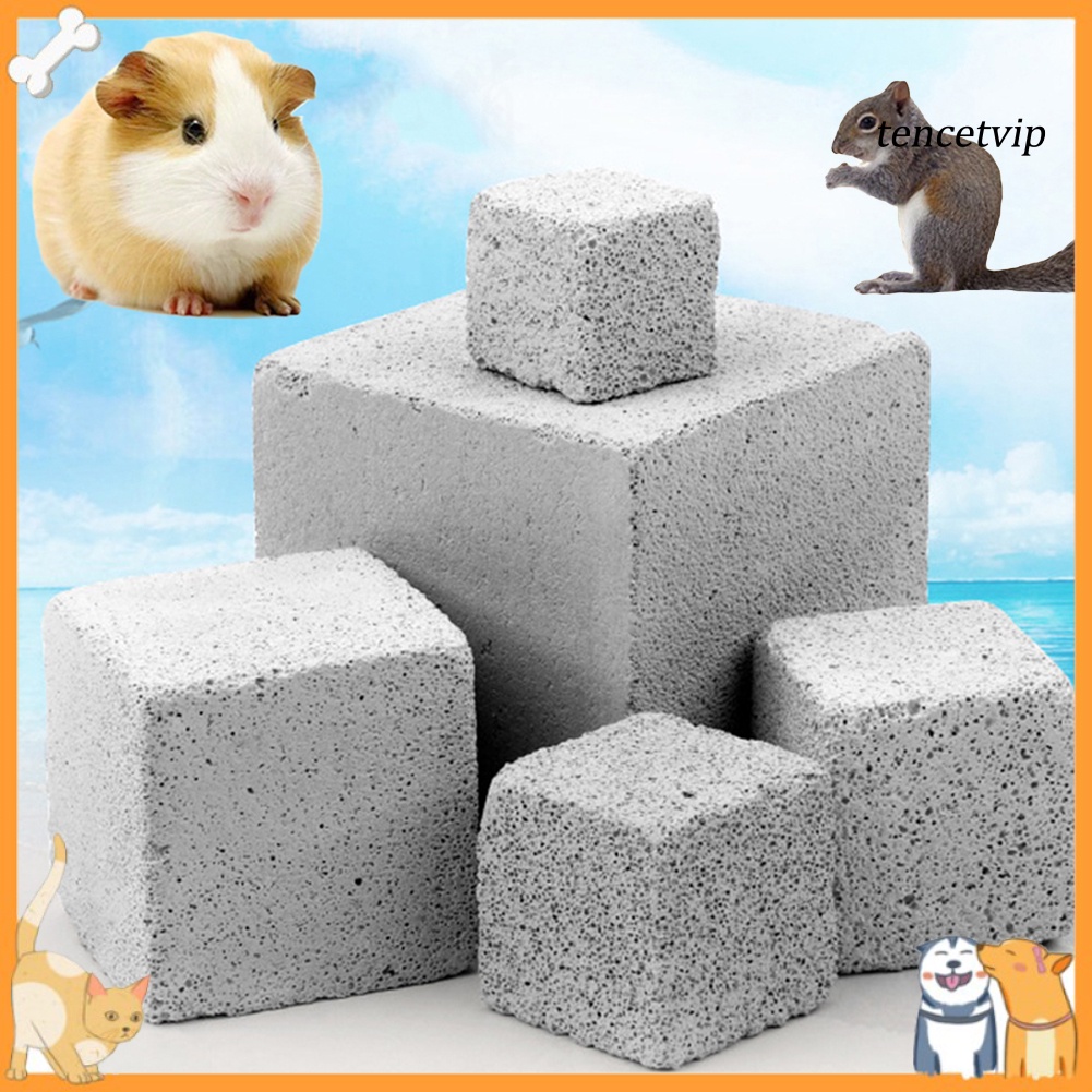 Đá Canxi Mài Răng Cho Chuột Hamster/Thỏ/Sóc