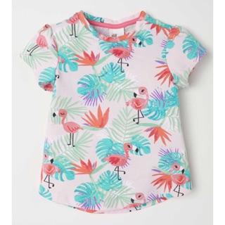 Áo phông hoạ tiết flamigo nhiệt đới hm auth 🎀⭐️ 170k =>150k