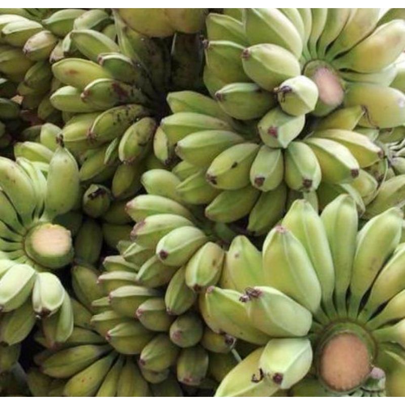 2Kg-Chuối sáp vàng cơm Bến Tre đặc sản