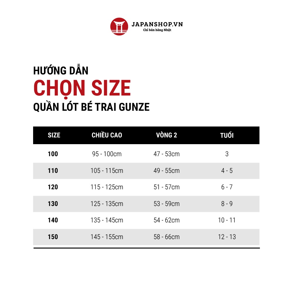 Set 2 quần lót bé trai dáng tam giác Gunze 100% cotton an toàn cho da bé, thấm hút mồ hôi made in Japan