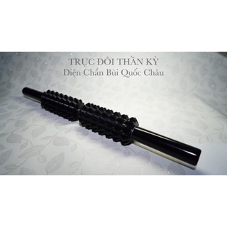 Trục đôi thần kỳ Diện Chẩn Bùi Quốc Châu