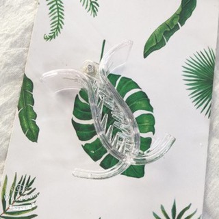 (SET 3) Kẹp Tóc Càng Cua Trong Suốt 5 Răng