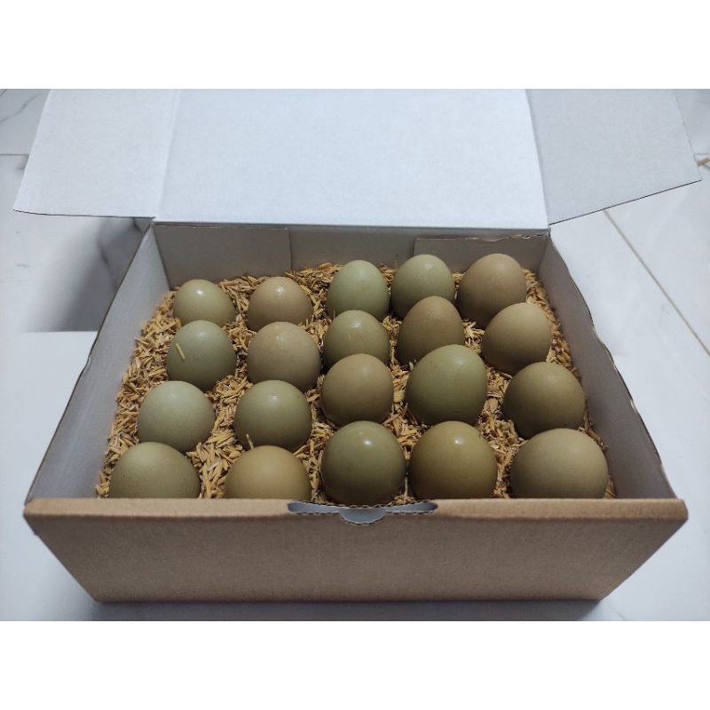 Trứng chim trĩ tại nhà