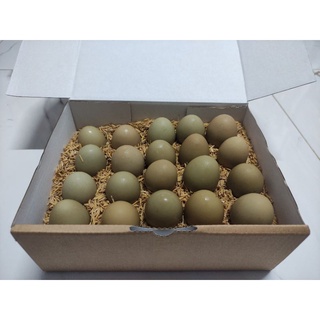 Trứng chim trĩ tại nhà