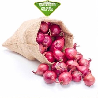 Củ Hành tím thơm ngon [CHỈ GIAO TPHCM]