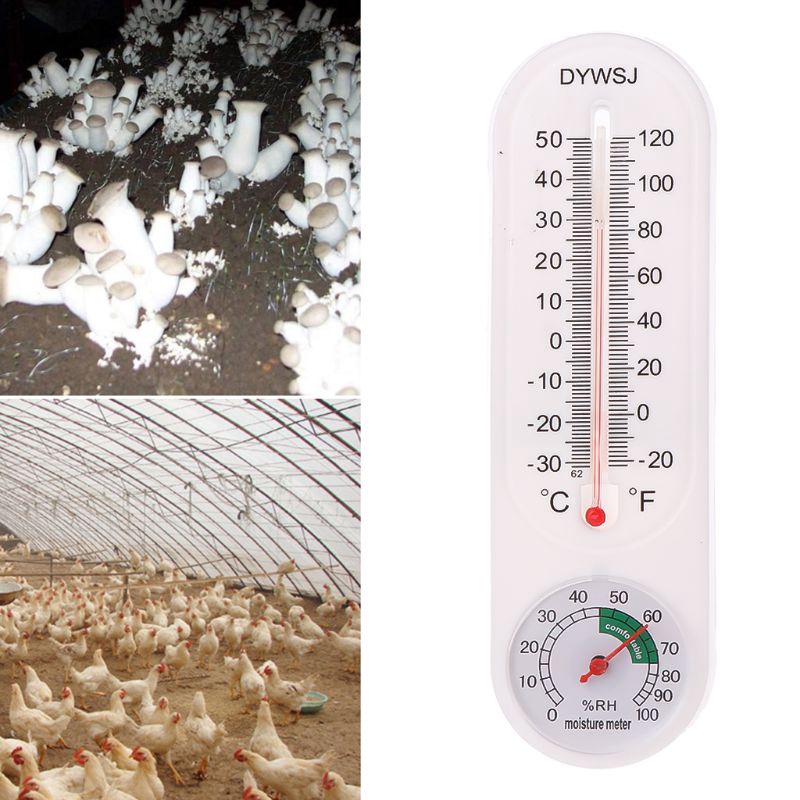 Máy Đo Nhiệt Độ Và Độ Ẩm Treo Tường Cho Văn Phòng