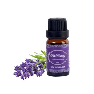 Tinh dầu Oải hương Bulgaria - Lavender Bulgaria Essential Oil - Hoa Thơm Cỏ Lạ
