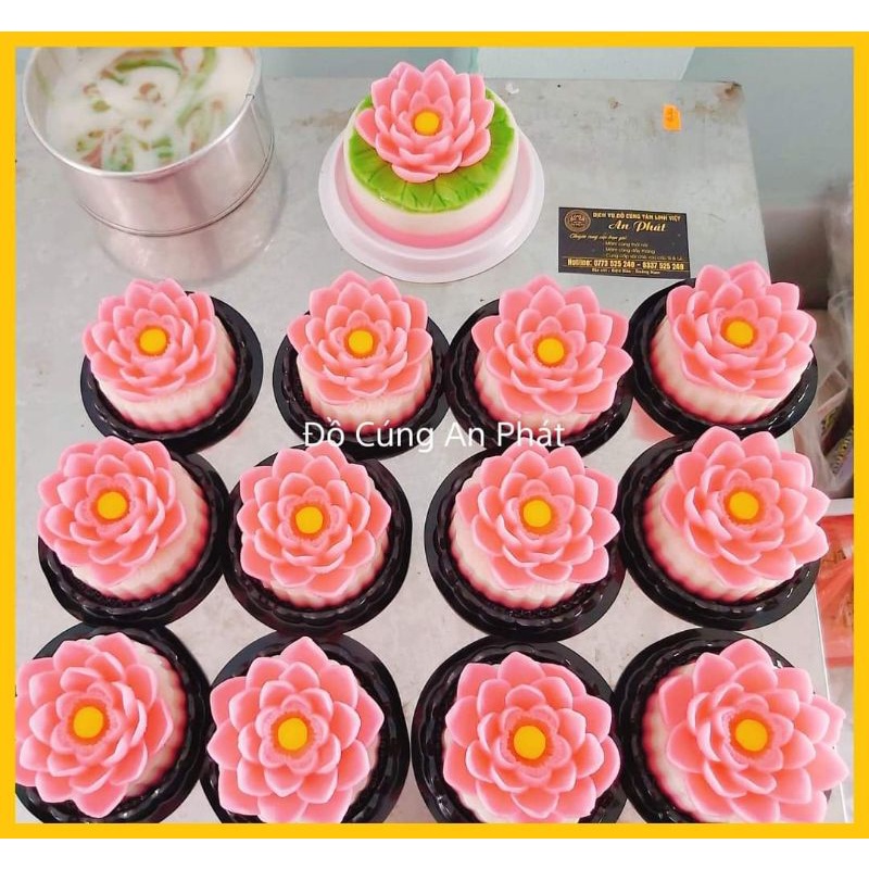 Hộp nhựa đựng bánh tròn bán cầu F057