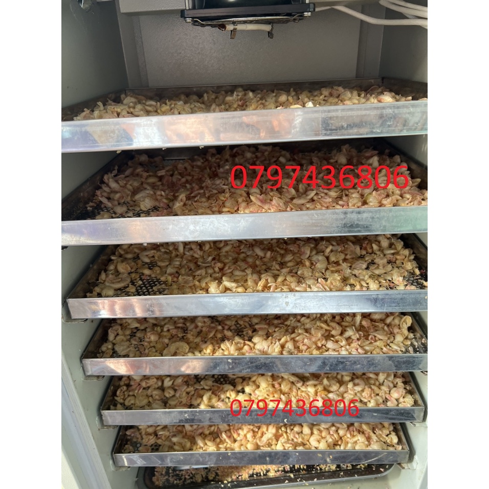 Củ Nén sấy khô  đóng túi 100gr