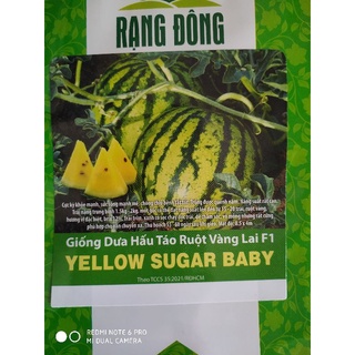 Hạt giống Dưa hấu táo mini ruột vàng lai F1 ( 5 hạt )