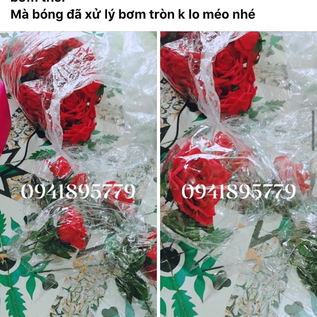 20 set bóng lồng sẵn hoa
