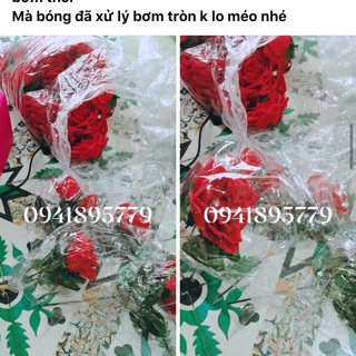 20 set bóng lồng sẵn hoa