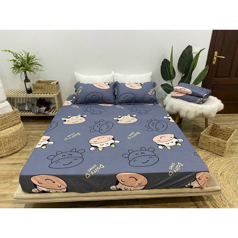 Bộ ga giường và vỏ gối Cotton Poly - Decor phòng ngủ với ga giường cotton siêu đẹp