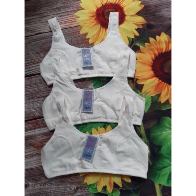 Áo bra dây bản to chất cotton gen mỡ lưng định hình vòng ngực hàng ko có đệm