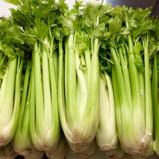 Hạt Giống Cần Tây Bẹ To (326) 2gr