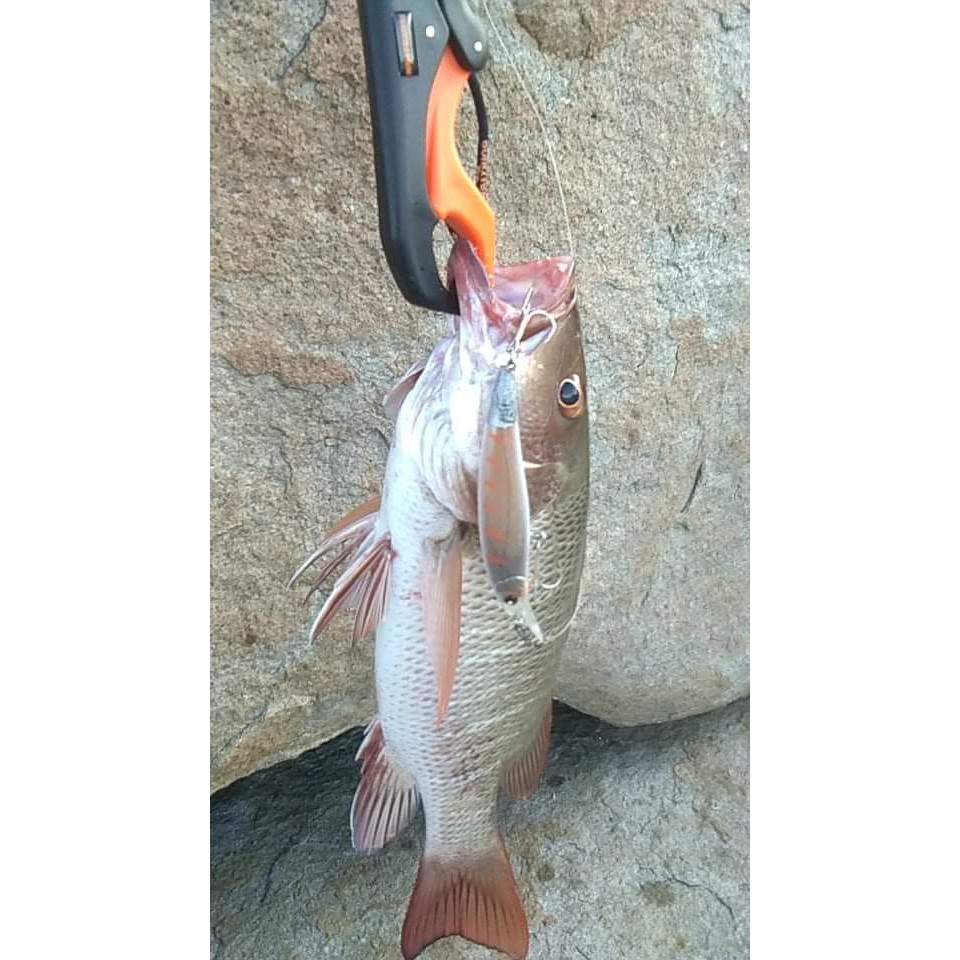 Mồi Lure Ghềnh, chạy trolling, câu dắt cá thu, Neoby 39gr