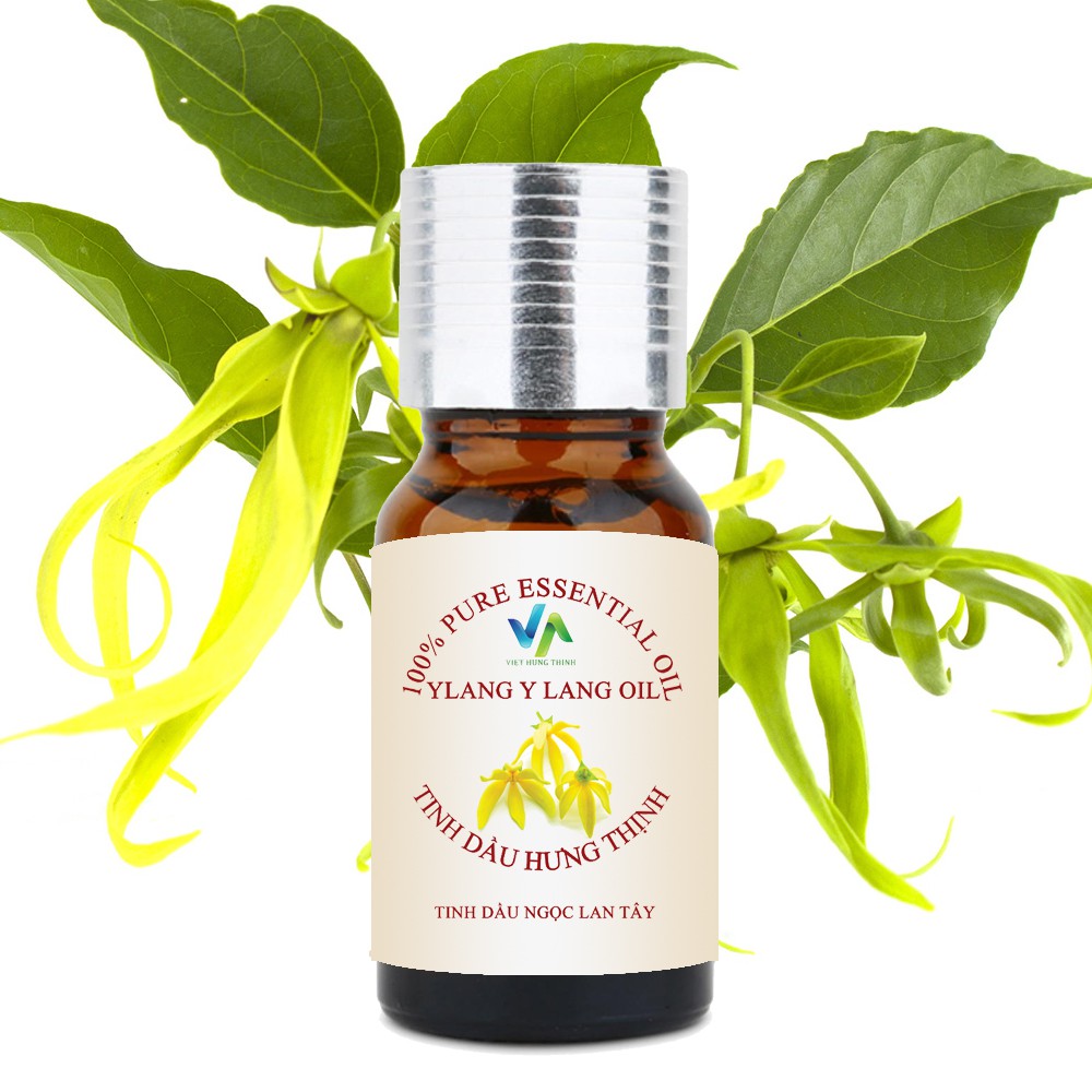 [Mua 2 tặng 1] Mua tinh dâu sả chanh 20 + tinh dầu Ylang 20ml tặng 1 lọ tinh dầu  treo xe xá xị